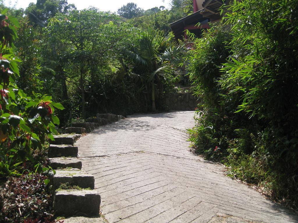 Florianópolis Studio Formana מראה חיצוני תמונה